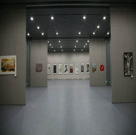 Muro divisorio operabile mobile di alluminio di pagina 65mm per il centro espositivo