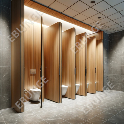Partizioni di bagno pubblici in acciaio inossidabile personalizzabili